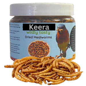 Dry Mealworms